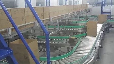 Conveyor System for Carton Handling