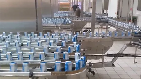 Conveyor System for Dairy Industry